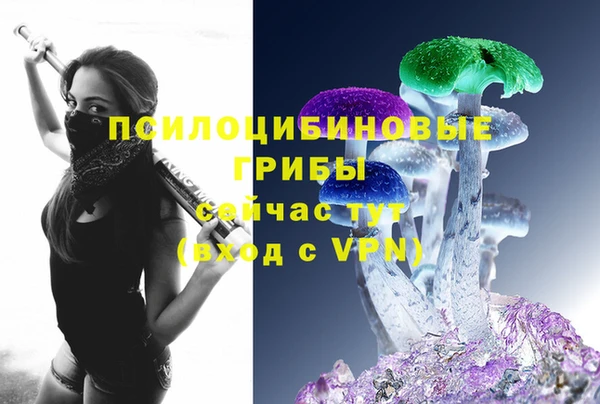героин Алексин