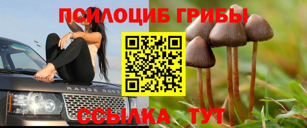 Галлюциногенные грибы мухоморы  Галлюциногенные грибы Cubensis  Вход с VPN  Павлово 
